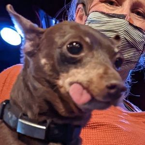 Meet your Posher, Suzy